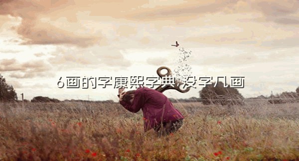 6画的字康熙字典,没字几画