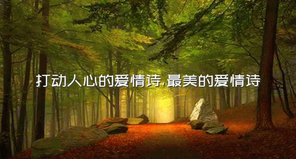 打动人心的爱情诗,最美的爱情诗