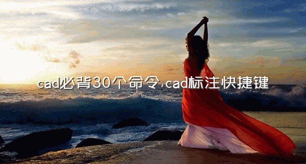 cad必背30个命令,cad标注快捷键