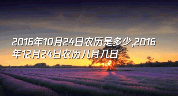 2016年10月24日农历是多少,2016年12月24日农历几月几日