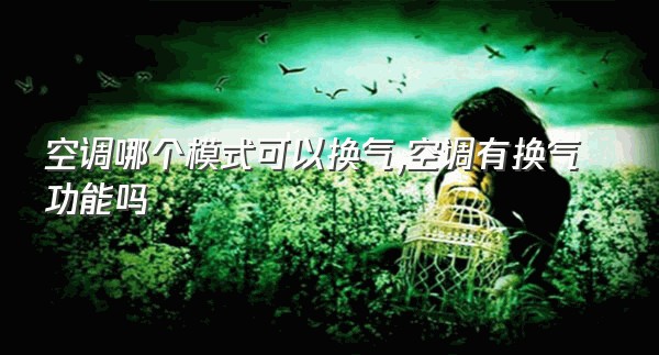 空调哪个模式可以换气,空调有换气功能吗