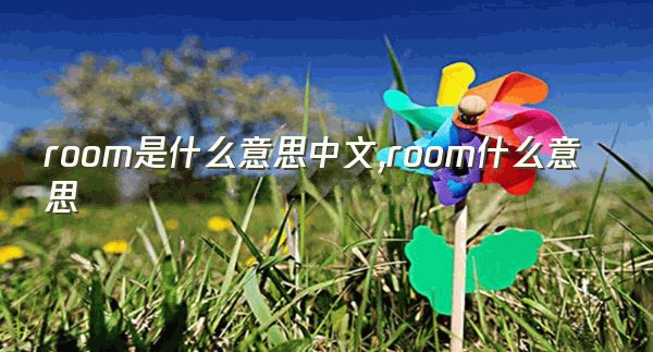 room是什么意思中文,room什么意思