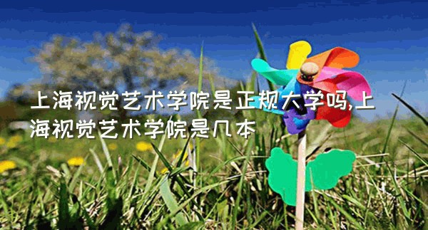 上海视觉艺术学院是正规大学吗,上海视觉艺术学院是几本