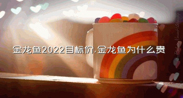 金龙鱼2022目标价,金龙鱼为什么贵