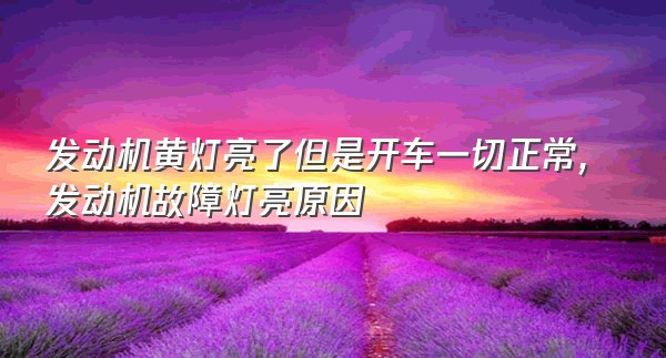 发动机黄灯亮了但是开车一切正常,发动机故障灯亮原因