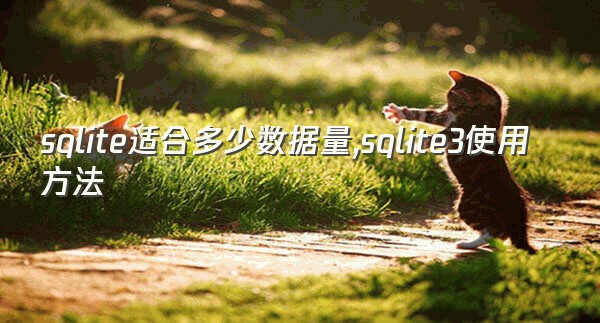 sqlite适合多少数据量,sqlite3使用方法