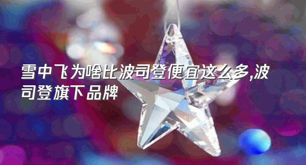 雪中飞为啥比波司登便宜这么多,波司登旗下品牌