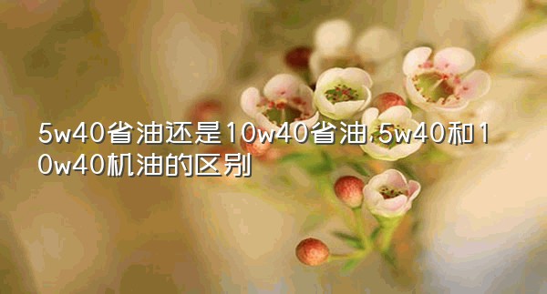 5w40省油还是10w40省油,5w40和10w40机油的区别