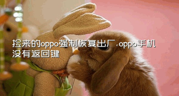 捡来的oppo强制恢复出厂,oppo手机没有返回键