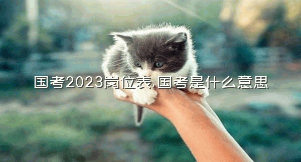 国考2023岗位表,国考是什么意思