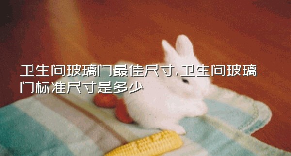 卫生间玻璃门最佳尺寸,卫生间玻璃门标准尺寸是多少