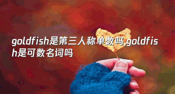 goldfish是第三人称单数吗,goldfish是可数名词吗