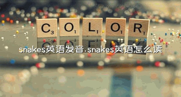 snakes英语发音,snakes英语怎么读