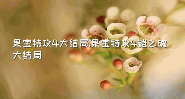 果宝特攻4大结局,果宝特攻4铠之魂大结局