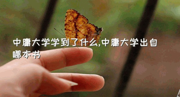 中庸大学学到了什么,中庸大学出自哪本书