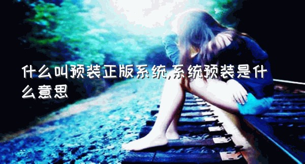 什么叫预装正版系统,系统预装是什么意思