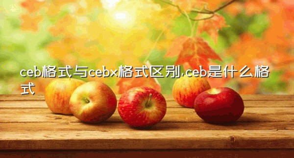 ceb格式与cebx格式区别,ceb是什么格式