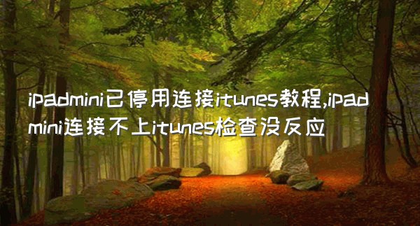 ipadmini已停用连接itunes教程,ipadmini连接不上itunes检查没反应