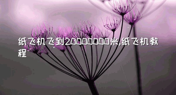 纸飞机飞到20000000米,纸飞机教程