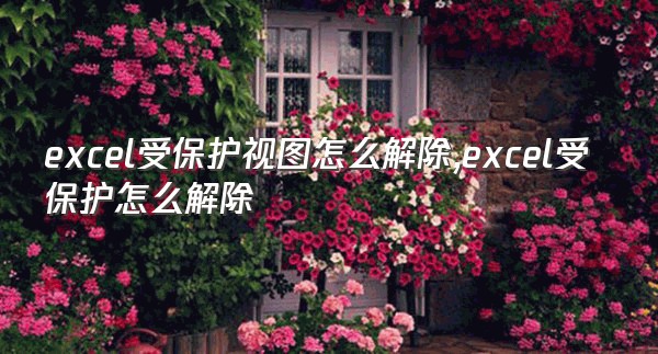 excel受保护视图怎么解除,excel受保护怎么解除