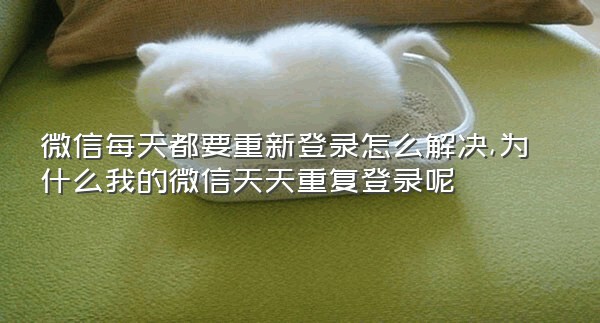 微信每天都要重新登录怎么解决,为什么我的微信天天重复登录呢