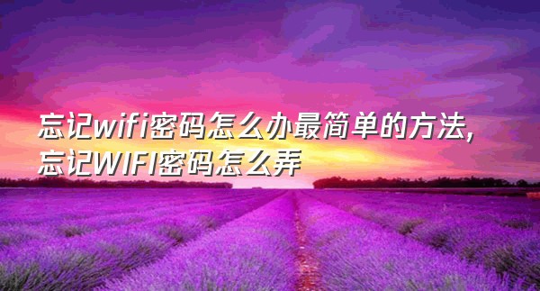 忘记wifi密码怎么办最简单的方法,忘记WIFI密码怎么弄