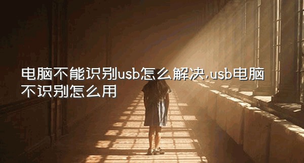 电脑不能识别usb怎么解决,usb电脑不识别怎么用