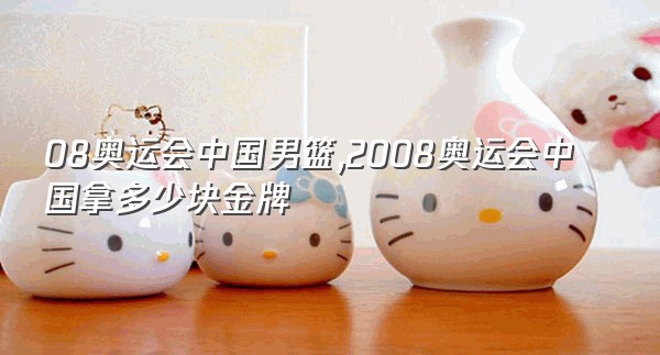 08奥运会中国男篮,2008奥运会中国拿多少块金牌