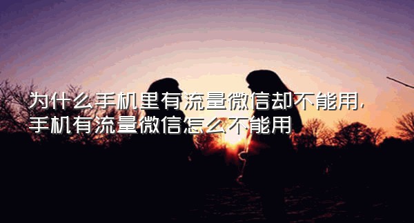 为什么手机里有流量微信却不能用,手机有流量微信怎么不能用