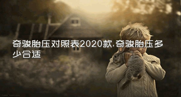 奇骏胎压对照表2020款,奇骏胎压多少合适