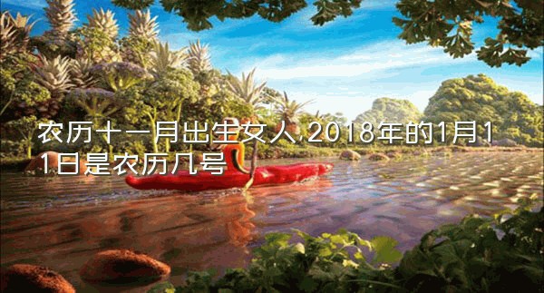 农历十一月出生女人,2018年的1月11日是农历几号