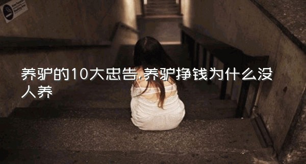 养驴的10大忠告,养驴挣钱为什么没人养