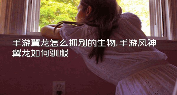 手游翼龙怎么抓别的生物,手游风神翼龙如何驯服