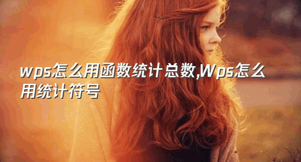 wps怎么用函数统计总数,Wps怎么用统计符号