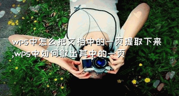 wps中怎么把文档中的一页提取下来,wps中如何取出其中的一页