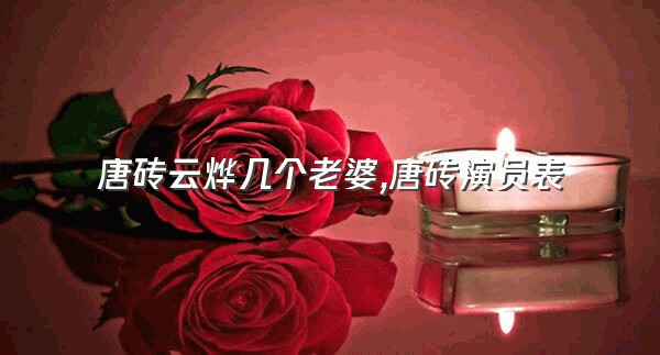 唐砖云烨几个老婆,唐砖演员表