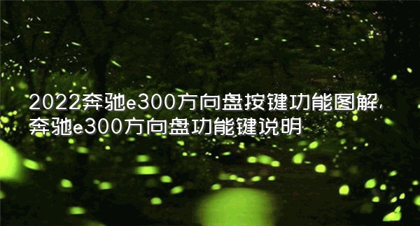 2022奔驰e300方向盘按键功能图解,奔驰e300方向盘功能键说明