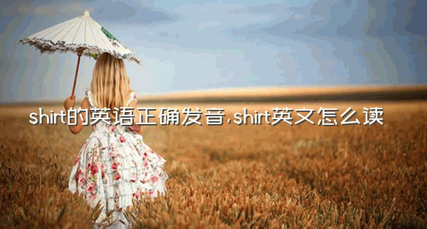 shirt的英语正确发音,shirt英文怎么读