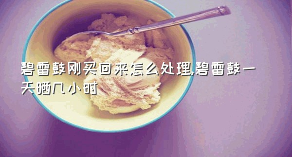 碧雷鼓刚买回来怎么处理,碧雷鼓一天晒几小时