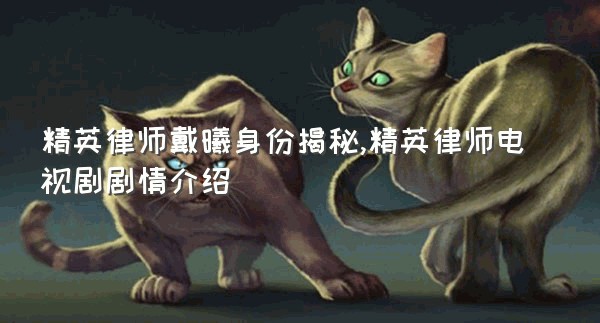 精英律师戴曦身份揭秘,精英律师电视剧剧情介绍