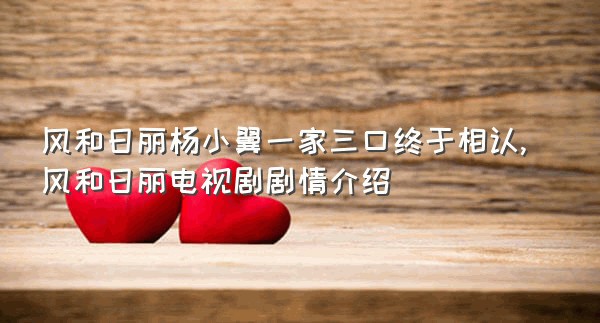 风和日丽杨小翼一家三口终于相认,风和日丽电视剧剧情介绍