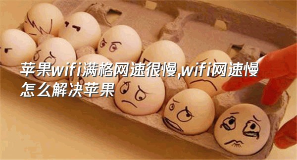 苹果wifi满格网速很慢,wifi网速慢怎么解决苹果