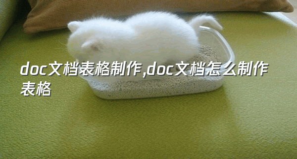 doc文档表格制作,doc文档怎么制作表格