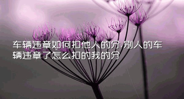 车辆违章如何扣他人的分,别人的车辆违章了怎么扣的我的分