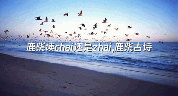 鹿柴读chai还是zhai,鹿柴古诗