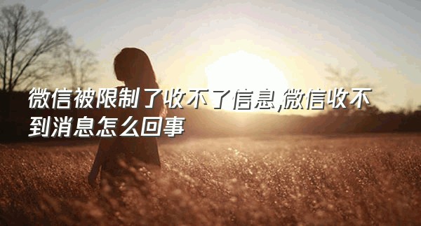 微信被限制了收不了信息,微信收不到消息怎么回事