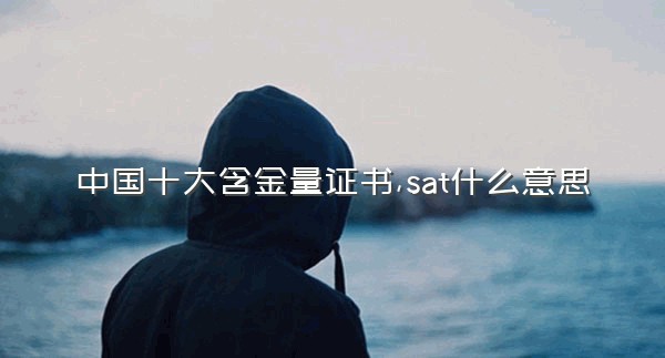 中国十大含金量证书,sat什么意思