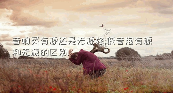 音响买有源还是无源好,低音炮有源和无源的区别