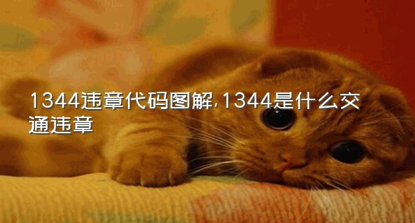 1344违章代码图解,1344是什么交通违章