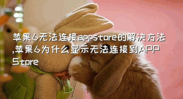 苹果6无法连接appstore的解决方法,苹果6为什么显示无法连接到APPStore